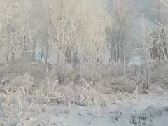 -雾凇岛