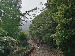 -缥缈峰景区