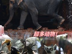 -长鹿旅游休博园
