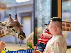 -西霞口神雕山野生动物世界