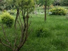 -乐享养生(东湖店)