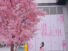 -首开·龙湖成都西宸天街