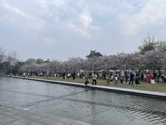 -良渚文化村
