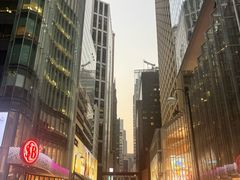 -Big Bus Tours 敞篷观光巴士