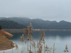 -酒仙湖景区