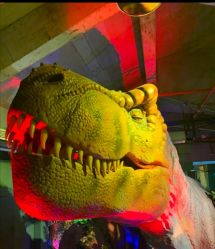 -恐龙探索乐园(磁器口店)