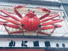-蟹道乐(道顿堀本店)