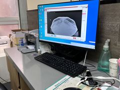 -爱侣宠医·鹦鹉专科·小型哺乳类·异宠专科(灵石路店)