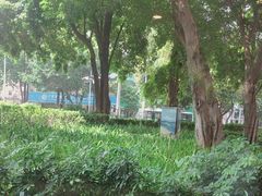 -真功夫(中医院店)