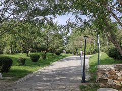 -莫子山公园