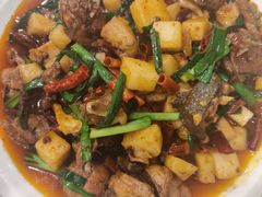 饵块鸡-红豆园(文林街店)