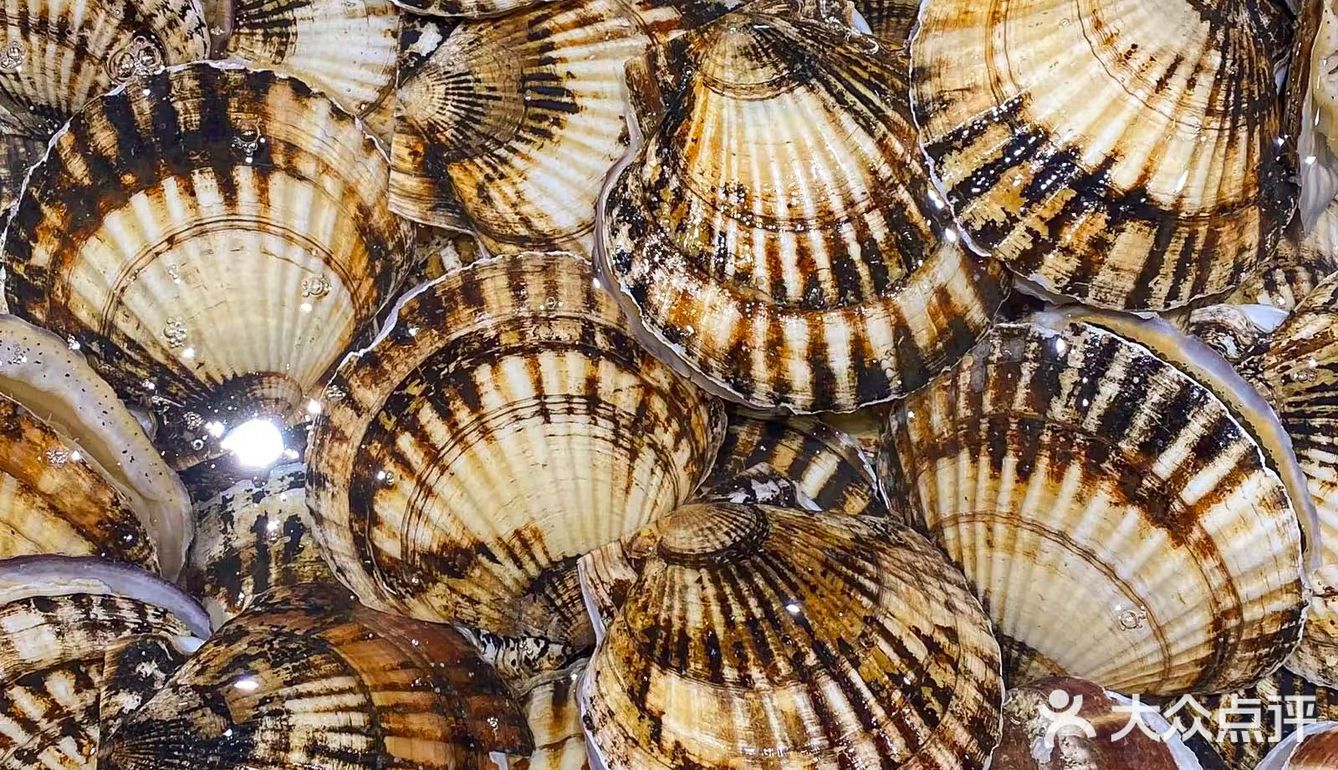 可以免费diy扇子？不来打卡亏大发了！ 