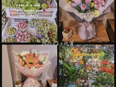 -溪岸路花鸟市场