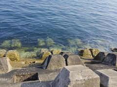 -星海广场
