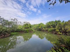 -大湾区中央湿地公园