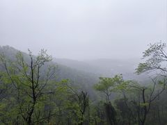 -岳麓山风景名胜区