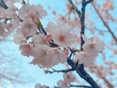 -杭州植物园