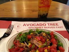 -油梨树 AVOCADO TREE(亮马桥店)