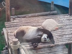 -大连森林动物园