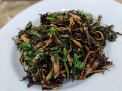 拌海草-杨记海鲜楼(三门黑金冠店)