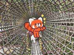 -美的鹭湖探索王国