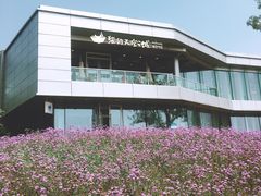 -猫的天空之城概念书店(北戴河蔚蓝海岸店)