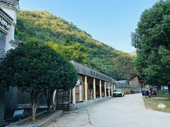 -深巷家味馆.湖北头牌红烧鱼头拌饭(黄陂店)