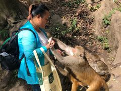 -黔灵山公园-南门售票处