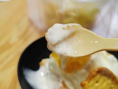 人参椴树花蜂巢水牛奶雪糕-歎雪糕低糖低脂Gelato冰淇淋