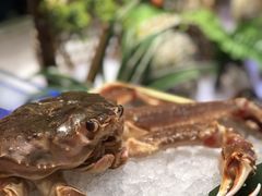 -一本魅·日式料理