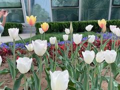 -石家庄市植物园