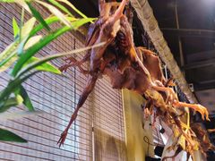 -罗大姐湘潭菜馆(洋湖春园店)