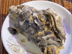 -蚝堡海鲜·威海菜·海肠捞饭·烧烤·亚洲吃蚝公司(幸福门店)