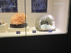 -安徽省地质博物馆