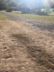 -浅山蜜塘奇妙乐园·亲子营地