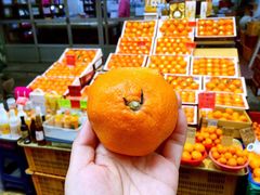 -西归浦每天偶来市场