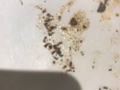 -自贡好吃客(科华店)