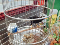 -五悦北平四季涮肉·烧烤(老商埠店)