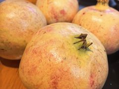 -山城柴火鸡·全鸡宴·跳水蛙(五小区店)