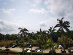 -三亚亚龙湾金棕榈度假酒店