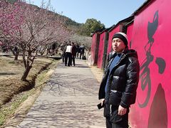 -香雪海