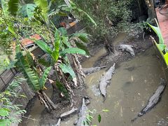 -清迈夜间动物园