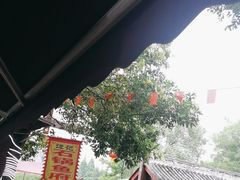 -谭记石锅鱼府(三道堰店)