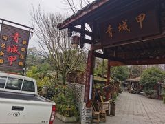 -青城甲(青城山店)