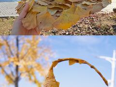 -浙江农林大学(东湖校区)