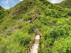 -大岭沟猕猴桃谷风景区