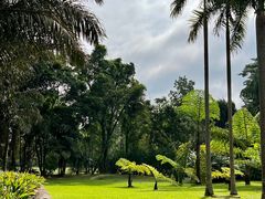 -中国科学院西双版纳热带植物园