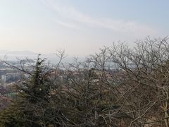 -信号山公园