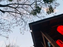-西安国际创新人才交流中心•药浴温泉