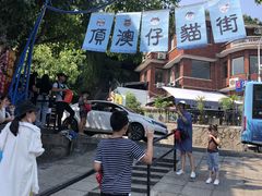 -猫咪博物馆(顶澳仔猫街店)